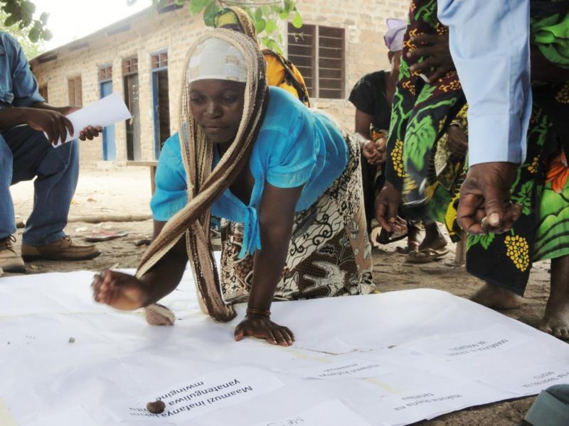 Participatory governance assessment, Tanzania