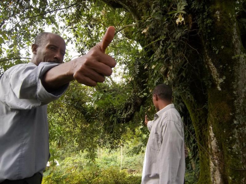 PFM training in Ethiopia included simplified forest assessment techniques