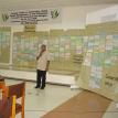 Facilitating a critical forest policy review process in the Philippines